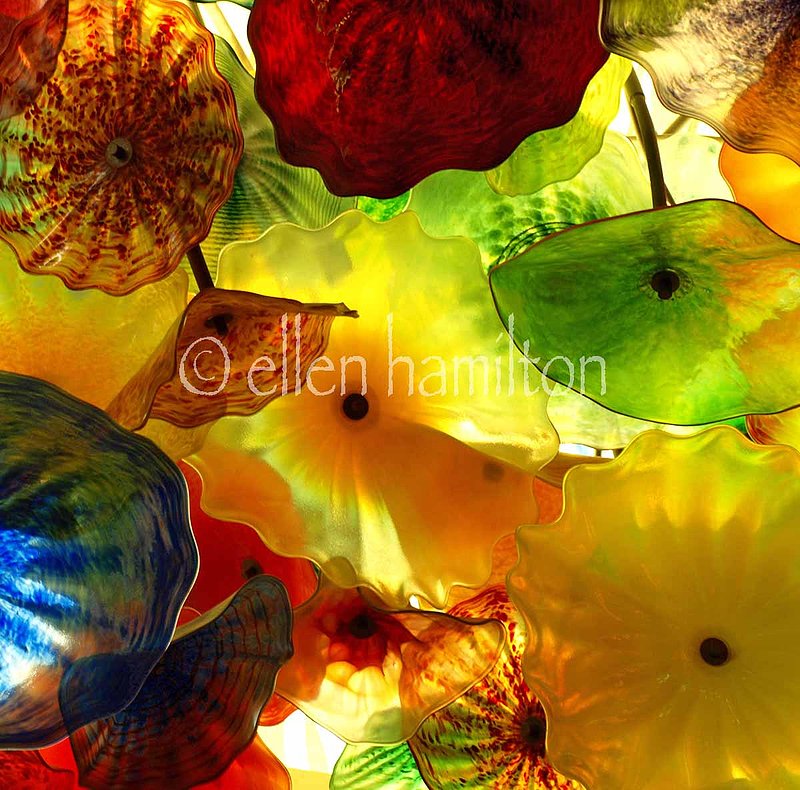 Glass Flowers :: Art :: Ellen Hamilton Photography